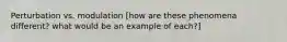 Perturbation vs. modulation [how are these phenomena different? what would be an example of each?]