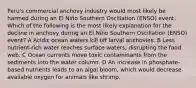 Peru's commercial anchovy industry would most likely be harmed during an El Niño Southern Oscillation (ENSO) event. Which of the following is the most likely explanation for the decline in anchovy during an El Niño Southern Oscillation (ENSO) event? A Acidic ocean waters kill off larval anchovies. B Less nutrient-rich water reaches surface waters, disrupting the food web. C Ocean currents move toxic contaminants from the sediments into the water column. D An increase in phosphate-based nutrients leads to an algal bloom, which would decrease available oxygen for animals like shrimp.