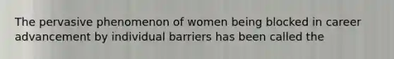 The pervasive phenomenon of women being blocked in career advancement by individual barriers has been called the