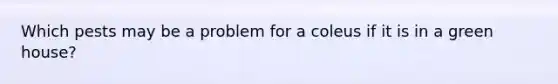 Which pests may be a problem for a coleus if it is in a green house?