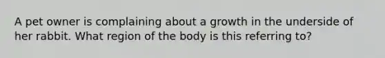 A pet owner is complaining about a growth in the underside of her rabbit. What region of the body is this referring to?