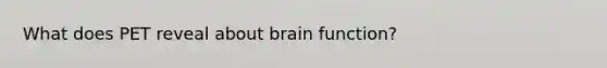 What does PET reveal about brain function?