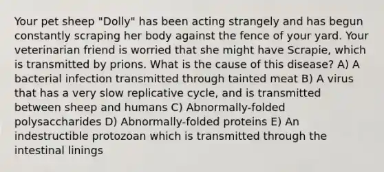 Your pet sheep "Dolly" has been acting strangely and has begun constantly scraping her body against the fence of your yard. Your veterinarian friend is worried that she might have Scrapie, which is transmitted by prions. What is the cause of this disease? A) A bacterial infection transmitted through tainted meat B) A virus that has a very slow replicative cycle, and is transmitted between sheep and humans C) Abnormally-folded polysaccharides D) Abnormally-folded proteins E) An indestructible protozoan which is transmitted through the intestinal linings