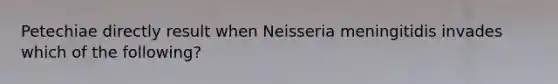 Petechiae directly result when Neisseria meningitidis invades which of the following?