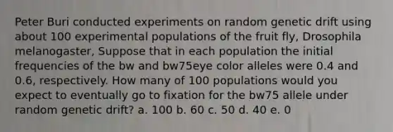 Peter Buri conducted experiments on random genetic drift using about 100 experimental populations of the fruit fly, Drosophila melanogaster, Suppose that in each population the initial frequencies of the bw and bw75eye color alleles were 0.4 and 0.6, respectively. How many of 100 populations would you expect to eventually go to fixation for the bw75 allele under random genetic drift? a. 100 b. 60 c. 50 d. 40 e. 0