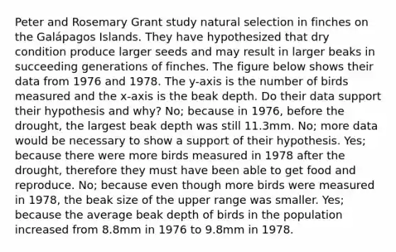 Peter and Rosemary Grant study natural selection in finches on the Galápagos Islands. They have hypothesized that dry condition produce larger seeds and may result in larger beaks in succeeding generations of finches. The figure below shows their data from 1976 and 1978. The y-axis is the number of birds measured and the x-axis is the beak depth. Do their data support their hypothesis and why? No; because in 1976, before the drought, the largest beak depth was still 11.3mm. No; more data would be necessary to show a support of their hypothesis. Yes; because there were more birds measured in 1978 after the drought, therefore they must have been able to get food and reproduce. No; because even though more birds were measured in 1978, the beak size of the upper range was smaller. Yes; because the average beak depth of birds in the population increased from 8.8mm in 1976 to 9.8mm in 1978.