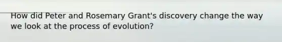 How did Peter and Rosemary Grant's discovery change the way we look at the process of evolution?