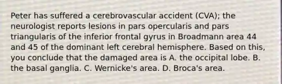 Peter has suffered a cerebrovascular accident (CVA); the neurologist reports lesions in pars opercularis and pars triangularis of the inferior frontal gyrus in Broadmann area 44 and 45 of the dominant left cerebral hemisphere. Based on this, you conclude that the damaged area is A. the occipital lobe. B. the basal ganglia. C. Wernicke's area. D. Broca's area.