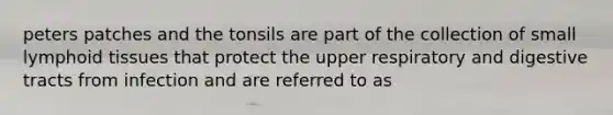 peters patches and the tonsils are part of the collection of small lymphoid tissues that protect the upper respiratory and digestive tracts from infection and are referred to as