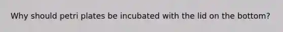 Why should petri plates be incubated with the lid on the bottom?