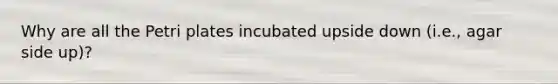 Why are all the Petri plates incubated upside down (i.e., agar side up)?