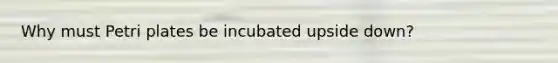 Why must Petri plates be incubated upside down?