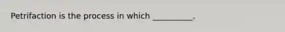 Petrifaction is the process in which __________.