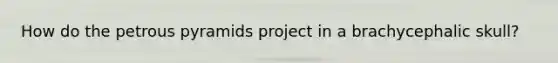 How do the petrous pyramids project in a brachycephalic skull?
