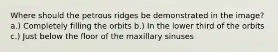 Where should the petrous ridges be demonstrated in the image? a.) Completely filling the orbits b.) In the lower third of the orbits c.) Just below the floor of the maxillary sinuses