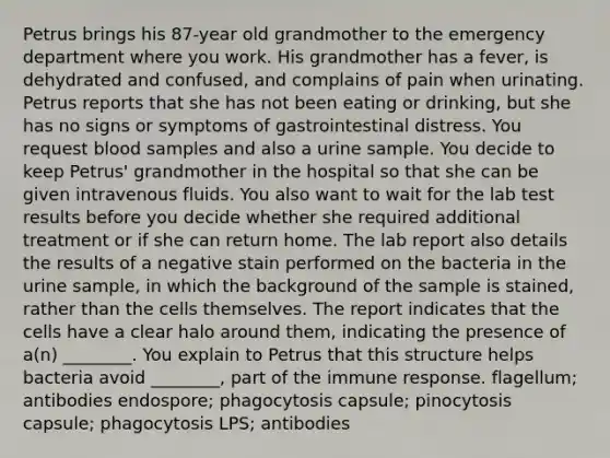 Petrus brings his 87-year old grandmother to the emergency department where you work. His grandmother has a fever, is dehydrated and confused, and complains of pain when urinating. Petrus reports that she has not been eating or drinking, but she has no signs or symptoms of gastrointestinal distress. You request blood samples and also a urine sample. You decide to keep Petrus' grandmother in the hospital so that she can be given intravenous fluids. You also want to wait for the lab test results before you decide whether she required additional treatment or if she can return home. The lab report also details the results of a negative stain performed on the bacteria in the urine sample, in which the background of the sample is stained, rather than the cells themselves. The report indicates that the cells have a clear halo around them, indicating the presence of a(n) ________. You explain to Petrus that this structure helps bacteria avoid ________, part of the immune response. flagellum; antibodies endospore; phagocytosis capsule; pinocytosis capsule; phagocytosis LPS; antibodies