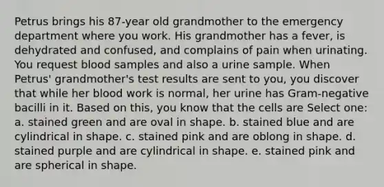 Petrus brings his 87-year old grandmother to the emergency department where you work. His grandmother has a fever, is dehydrated and confused, and complains of pain when urinating. You request blood samples and also a urine sample. When Petrus' grandmother's test results are sent to you, you discover that while her blood work is normal, her urine has Gram-negative bacilli in it. Based on this, you know that the cells are Select one: a. stained green and are oval in shape. b. stained blue and are cylindrical in shape. c. stained pink and are oblong in shape. d. stained purple and are cylindrical in shape. e. stained pink and are spherical in shape.