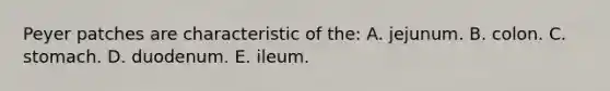 Peyer patches are characteristic of the: A. jejunum. B. colon. C. stomach. D. duodenum. E. ileum.