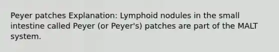 Peyer patches Explanation: Lymphoid nodules in the small intestine called Peyer (or Peyer's) patches are part of the MALT system.