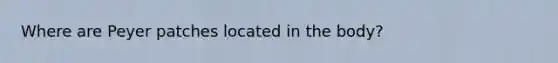 Where are Peyer patches located in the body?