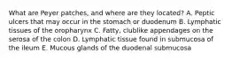 What are Peyer patches, and where are they located? A. Peptic ulcers that may occur in the stomach or duodenum B. Lymphatic tissues of the oropharynx C. Fatty, clublike appendages on the serosa of the colon D. Lymphatic tissue found in submucosa of the ileum E. Mucous glands of the duodenal submucosa