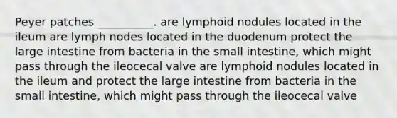 Peyer patches __________. are lymphoid nodules located in the ileum are lymph nodes located in the duodenum protect the <a href='https://www.questionai.com/knowledge/kGQjby07OK-large-intestine' class='anchor-knowledge'>large intestine</a> from bacteria in <a href='https://www.questionai.com/knowledge/kt623fh5xn-the-small-intestine' class='anchor-knowledge'>the small intestine</a>, which might pass through the ileocecal valve are lymphoid nodules located in the ileum and protect the large intestine from bacteria in the small intestine, which might pass through the ileocecal valve