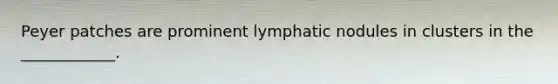 Peyer patches are prominent lymphatic nodules in clusters in the ____________.