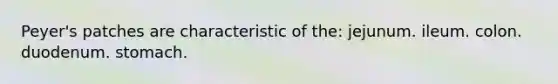 Peyer's patches are characteristic of the: jejunum. ileum. colon. duodenum. stomach.