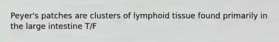 Peyer's patches are clusters of lymphoid tissue found primarily in the <a href='https://www.questionai.com/knowledge/kGQjby07OK-large-intestine' class='anchor-knowledge'>large intestine</a> T/F