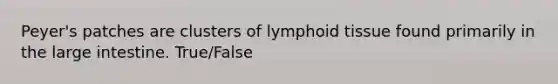 Peyer's patches are clusters of lymphoid tissue found primarily in the large intestine. True/False