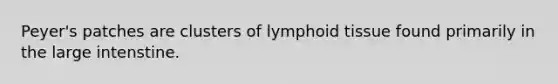 Peyer's patches are clusters of lymphoid tissue found primarily in the large intenstine.