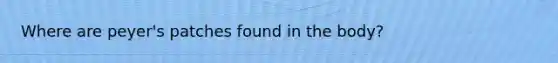 Where are peyer's patches found in the body?