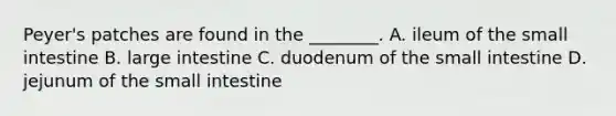 Peyer's patches are found in the ________. A. ileum of <a href='https://www.questionai.com/knowledge/kt623fh5xn-the-small-intestine' class='anchor-knowledge'>the small intestine</a> B. <a href='https://www.questionai.com/knowledge/kGQjby07OK-large-intestine' class='anchor-knowledge'>large intestine</a> C. duodenum of the small intestine D. jejunum of the small intestine