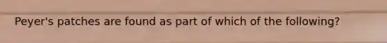 Peyer's patches are found as part of which of the following?