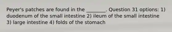 Peyer's patches are found in the ________. Question 31 options: 1) duodenum of <a href='https://www.questionai.com/knowledge/kt623fh5xn-the-small-intestine' class='anchor-knowledge'>the small intestine</a> 2) ileum of the small intestine 3) <a href='https://www.questionai.com/knowledge/kGQjby07OK-large-intestine' class='anchor-knowledge'>large intestine</a> 4) folds of <a href='https://www.questionai.com/knowledge/kLccSGjkt8-the-stomach' class='anchor-knowledge'>the stomach</a>