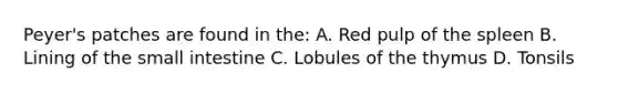 Peyer's patches are found in the: A. Red pulp of the spleen B. Lining of the small intestine C. Lobules of the thymus D. Tonsils