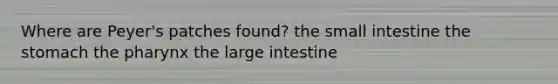 Where are Peyer's patches found? the small intestine the stomach the pharynx the large intestine