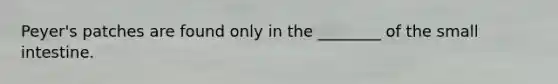 Peyer's patches are found only in the ________ of the small intestine.