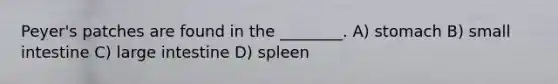 Peyer's patches are found in the ________. A) stomach B) small intestine C) large intestine D) spleen