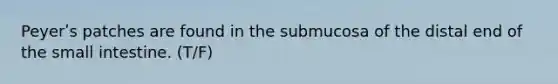 Peyerʹs patches are found in the submucosa of the distal end of <a href='https://www.questionai.com/knowledge/kt623fh5xn-the-small-intestine' class='anchor-knowledge'>the small intestine</a>. (T/F)