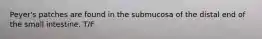Peyer's patches are found in the submucosa of the distal end of the small intestine. T/F