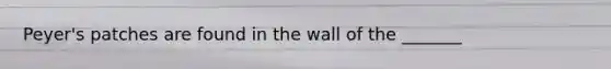 Peyer's patches are found in the wall of the _______