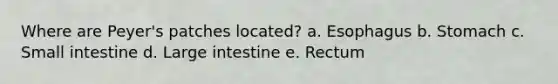Where are Peyer's patches located? a. Esophagus b. Stomach c. Small intestine d. Large intestine e. Rectum