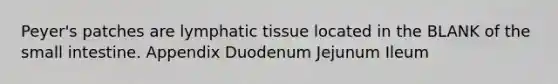 Peyer's patches are lymphatic tissue located in the BLANK of the small intestine. Appendix Duodenum Jejunum Ileum