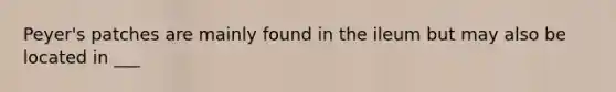 Peyer's patches are mainly found in the ileum but may also be located in ___