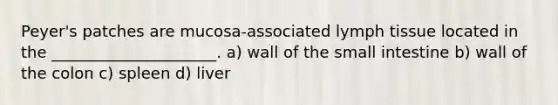 Peyer's patches are mucosa-associated lymph tissue located in the _____________________. a) wall of the small intestine b) wall of the colon c) spleen d) liver