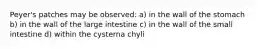 Peyer's patches may be observed: a) in the wall of the stomach b) in the wall of the large intestine c) in the wall of the small intestine d) within the cysterna chyli