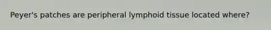 Peyer's patches are peripheral lymphoid tissue located where?