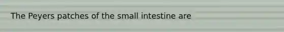 The Peyers patches of the small intestine are