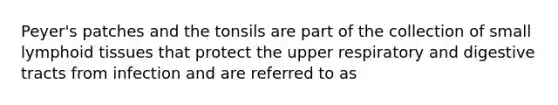 Peyer's patches and the tonsils are part of the collection of small lymphoid tissues that protect the upper respiratory and digestive tracts from infection and are referred to as